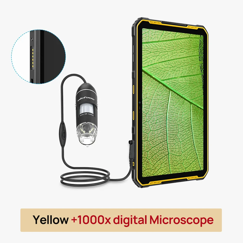 Yellow Combo 2